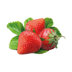 Fraise de Plougastel