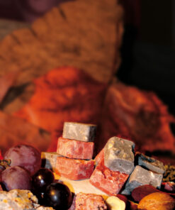 Granit entouré de fruits